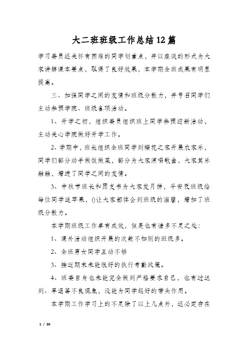 大二班班级工作总结12篇