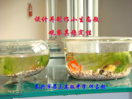 设计制作小生态瓶