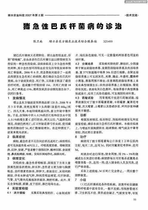 猪急性巴氏杆菌病的诊治