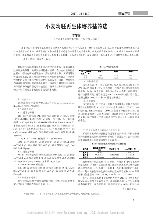 小麦幼胚再生体培养基筛选