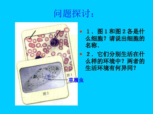 一11细胞生活的环境精品PPT课件