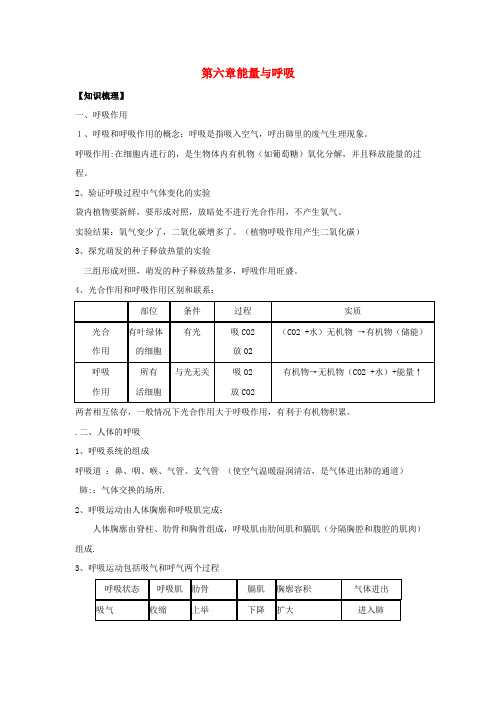 七年级生物上第6章能量与呼吸复习学案苏科版