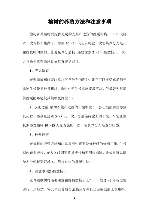 榆树的养殖方法和注意事项