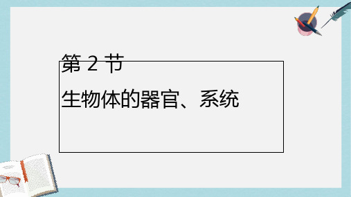 七年级生物上册2.4.2生物体的器官系统课件2新版新人教版