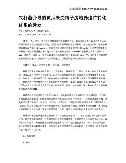 农杆菌介导的黄瓜未受精子房培养遗传转化体系的建立