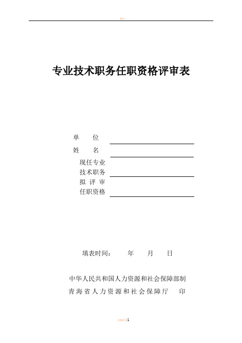 专业技术职务任职资格评审表(高级)