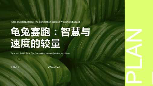 龟兔赛跑PPT模板：智慧与速度的较量