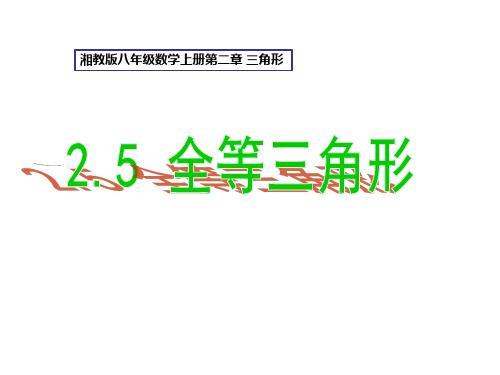 湘教版八年级数学上册 第二章 三角形 2.5 全等三角形 课件(共53张PPT)