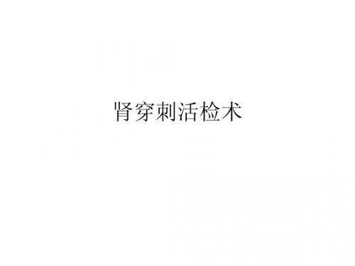 肾穿刺活检