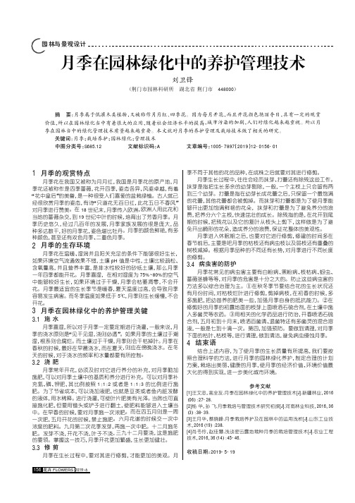 月季在园林绿化中的养护管理技术