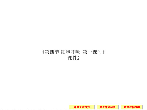 《第四节 细胞呼吸  第一课时》课件2