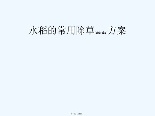 《水稻常用除草方案》PPT课件