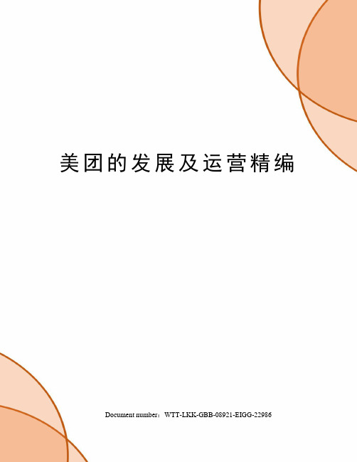 美团的发展及运营精编