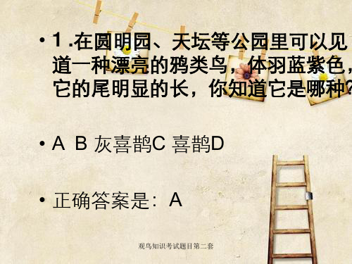 观鸟知识考试题目第二套