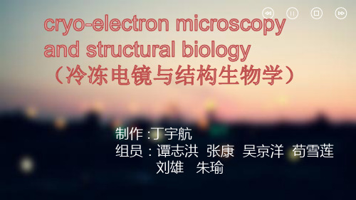 冷冻电镜.ppt