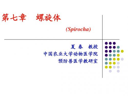 第七章 螺旋体