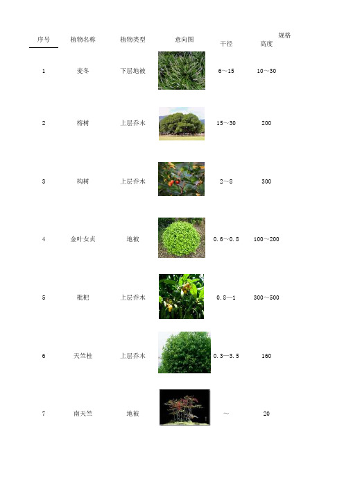 校园景观植物配置表