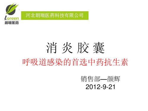 消炎胶囊-颜辉版