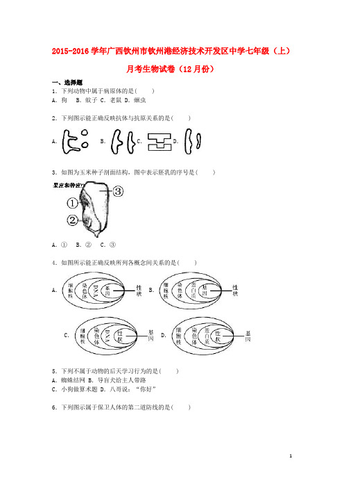 广西钦州市钦州港经济技术开发区中学2015_2016学年七年级生物上学期(12月)月考试卷(含解析)新人教版