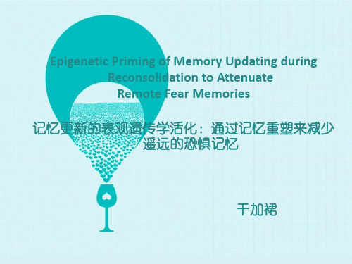 恐惧记忆