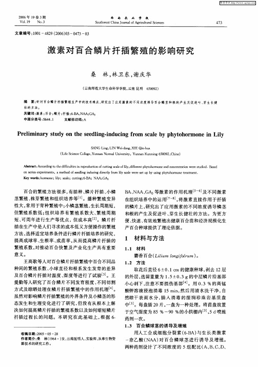 激素对百合鳞片扦插繁殖的影响研究