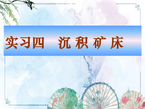 【矿床学B-丁清峰】实习四  沉积矿床