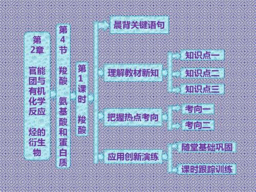 2.4羧酸氨基酸和蛋白质第1课时羧酸课件(鲁科选修5)