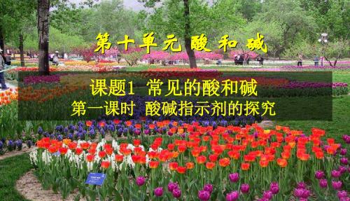 人教版九年级化学第十章课题1常见的酸和碱(共32张PPT)