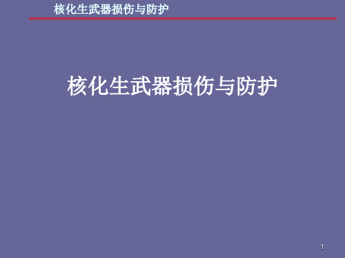 核化生武器损伤与防护ppt