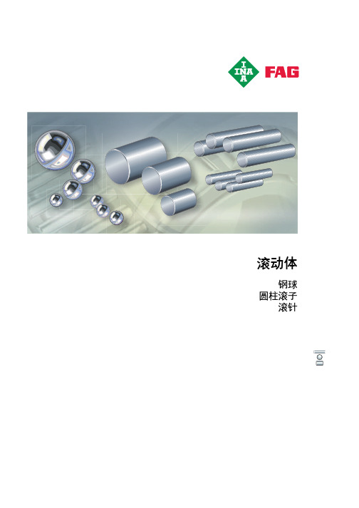 INA FAG轴承样本中文版-滚动体