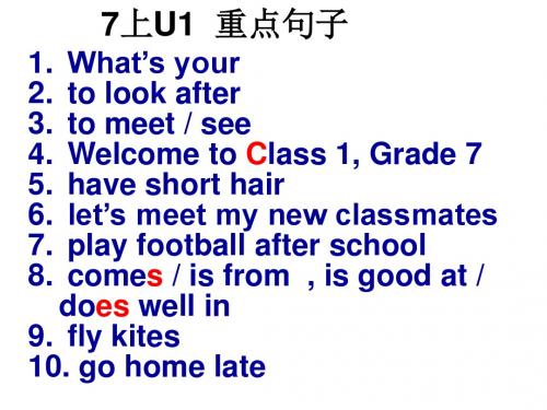 牛津译林版英语7A Unit1-2期末复习课件 最终