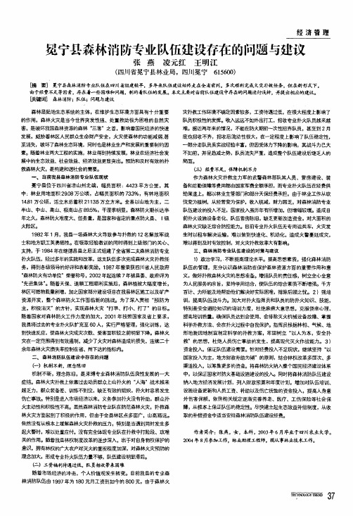 冕宁县森林消防专业队伍建设存在的问题与建议