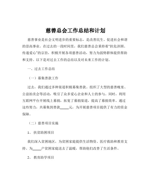 慈善总会工作总结和计划