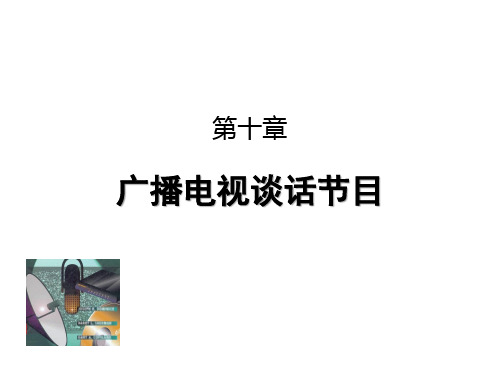 广播电视谈话节目