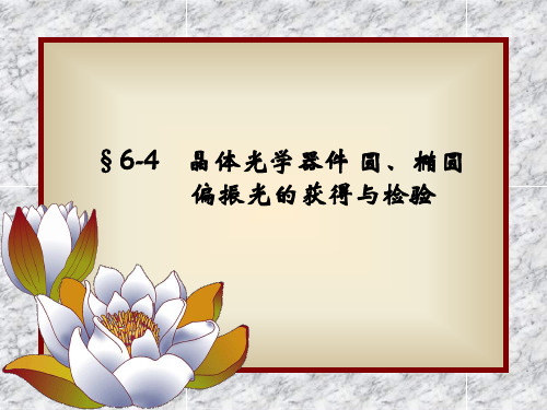 光的偏振4