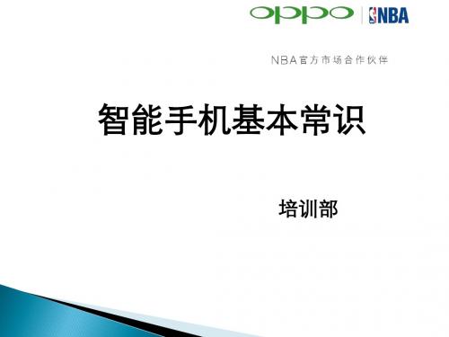 《智能机名词解释》PPT课件