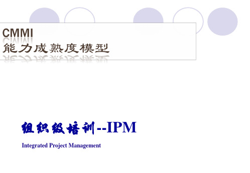 IPM 集成项目管理