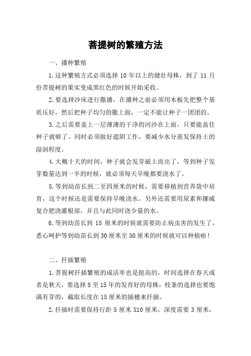 菩提树的繁殖方法