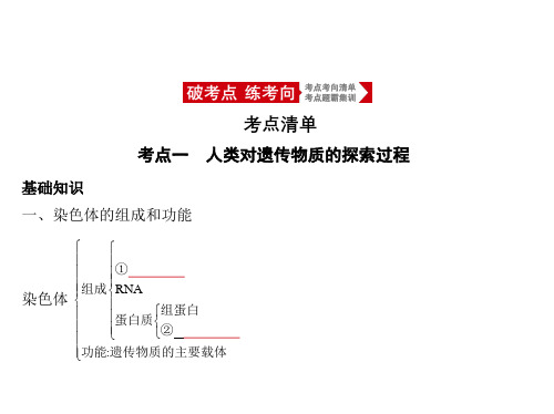 2021年浙江高考生物复习课件：专题10 遗传的分子基础