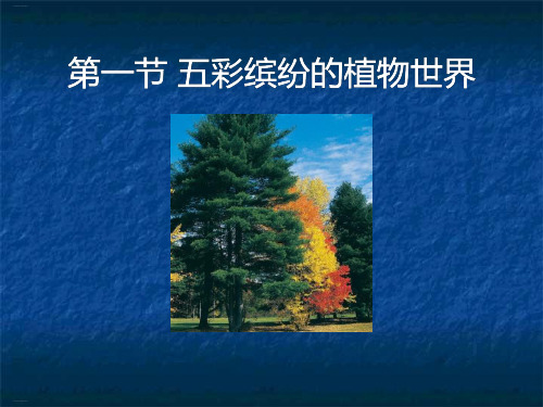 《五彩缤纷的植物世界》PPT课件【优质课件】