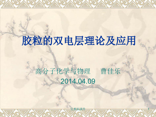 胶粒的双电层理论ppt课件