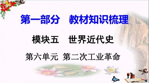 2018湖南中考历史复习：世界近代史PPT(8份) 岳麓版6
