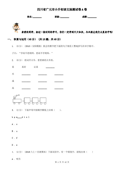 四川省广元市小升初语文抽测试卷A卷