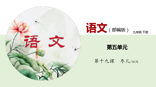 19《枣儿》优秀课件