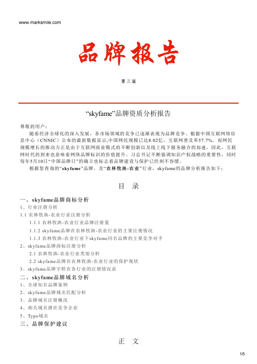 skyfame的品牌资质分析报告