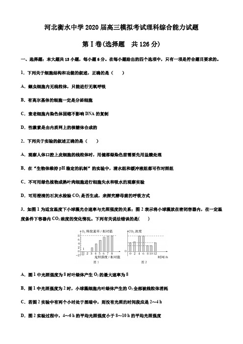 河北衡水中学2020届高三模拟考试理科综合能力试题及答案