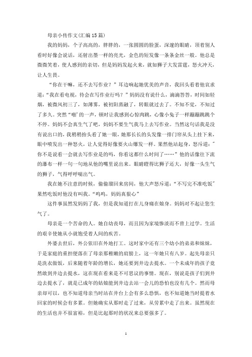 精选母亲小传作文(汇编15篇)