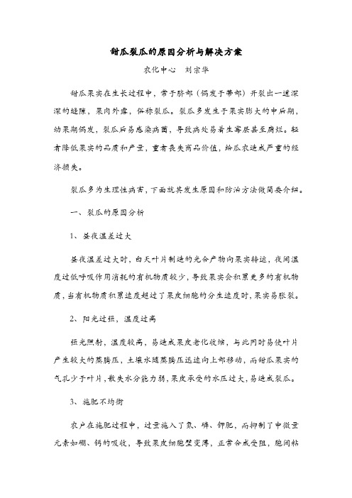 甜瓜裂瓜的原因分析与解决方案