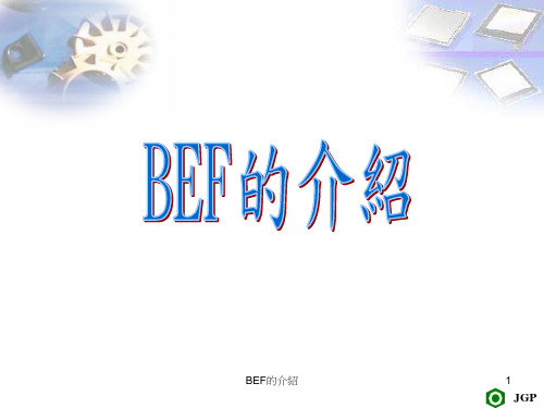 BEF教育训练