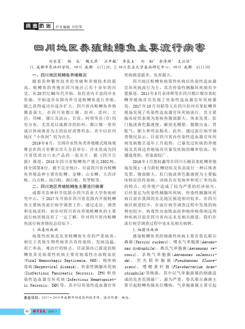 四川地区养殖鲑鳟鱼主要流行病害